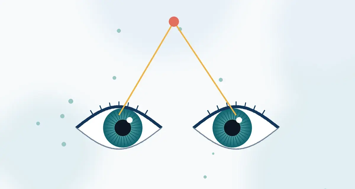 הליכי וציוד טיפול ראייה Vision Therapy – VT